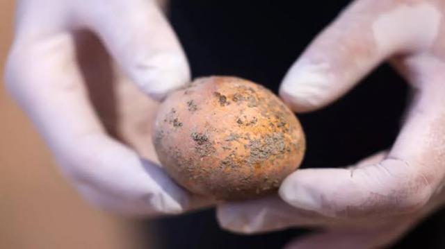 اكتشاف بيضة دجاج عمرها 1000 عام 