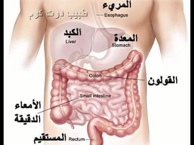 مصر وناسها