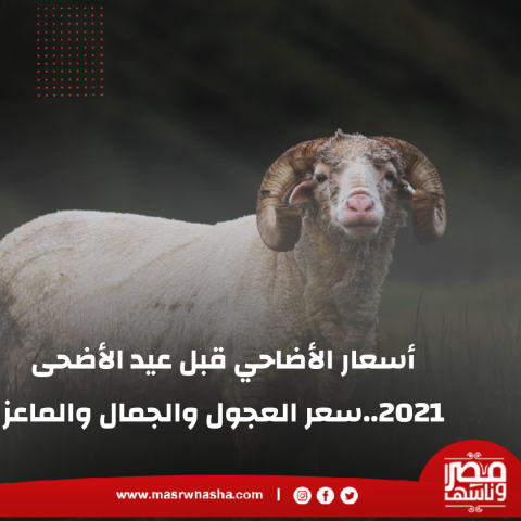 في عيد 2021 اسعار الاضاحي الاضحى سعر الأضحية