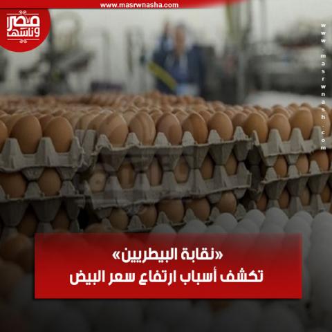 نقابة البيطريين