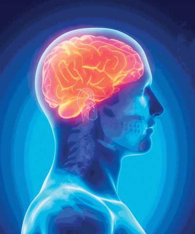 تفاصيل الكامل لـ تطبيق بروتوكول علاج السكتة الدماغية على المرضى