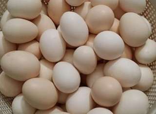 ارتفاع أسعار البيض الأبيض والأحمر اليوم السبت بالمزرعة