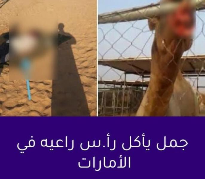 مصر وناسها