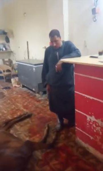 مصر وناسها