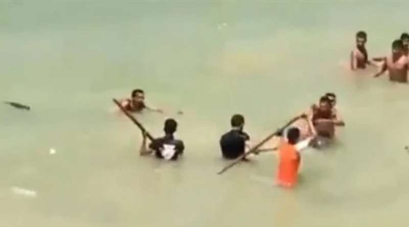 مصر وناسها