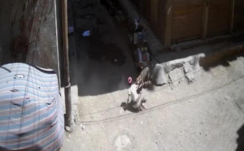 مصر وناسها