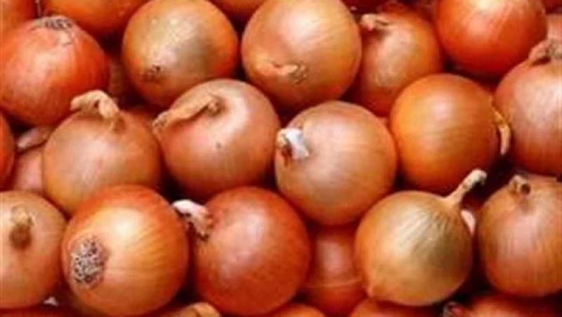 بشرى سارة بشأن إنخفاض أسعار البصل فى مصر بعد قرار الحكومه