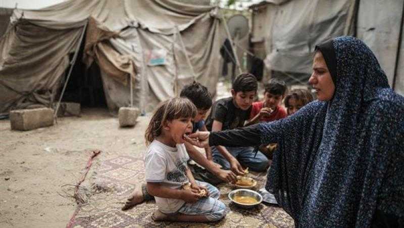 هل يجوز إخراج زكاة المال لفلسطين وأهلنا في غزة بالغذاء والدواء؟ الإفتاء توضح