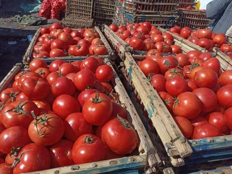 ”شعبة الخضراوات والفاكهة”: الأسعار تشهد انخفاضا تدريجيا