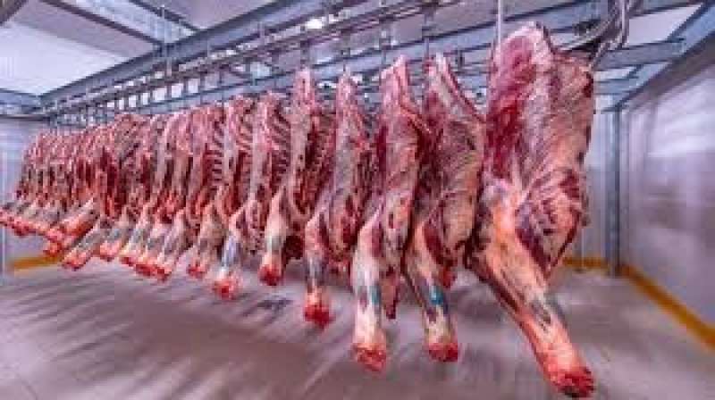 أسعار اللحوم