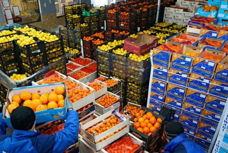 تراجع صادرات الفواكه الطازجة المصرية | إنفوجراف