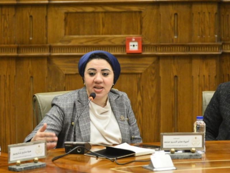 بنك مصري للأنسجة البشرية.. النائبة أميرة صابر تكشف تفاصيل مقترحها البرلماني لـ”أزهري” | فيديو