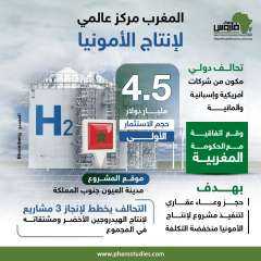 ”فاروس”: تحالف يضخ 4.5 مليار دولار في المغرب لإنتاج الأمونيا | إنفوجراف