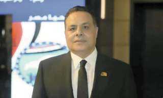 هيمن عبدالله: مصر تتصدر عربياً في جذب الاستثمار الأجنبي بـ46.5 مليار دولار